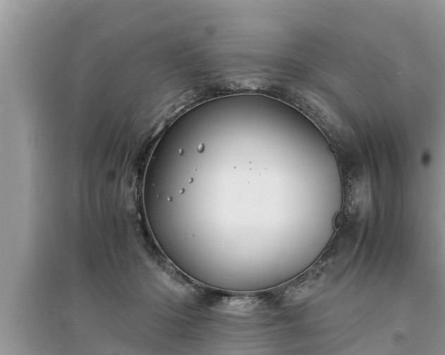 X0000095540414200712211352