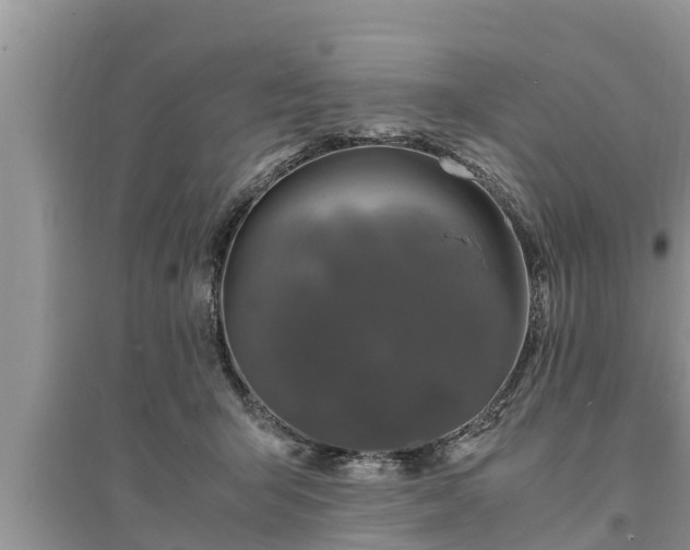 X0000095540415200712211352