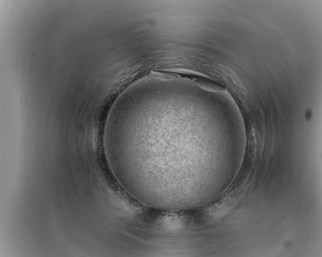 X0000095540416200712211352