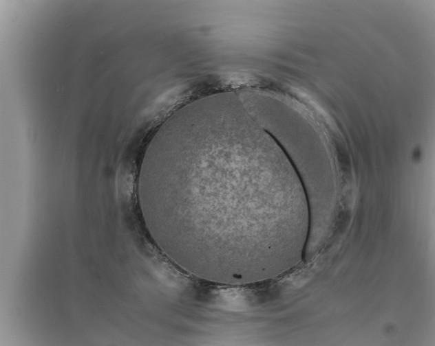 X0000095540417200712211352