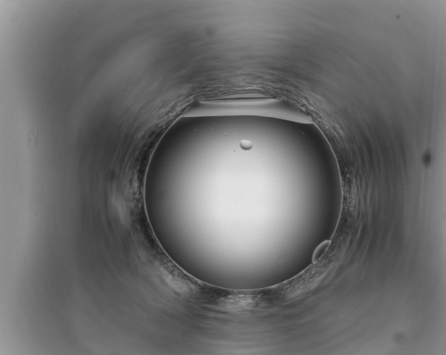 X0000095540418200712211352