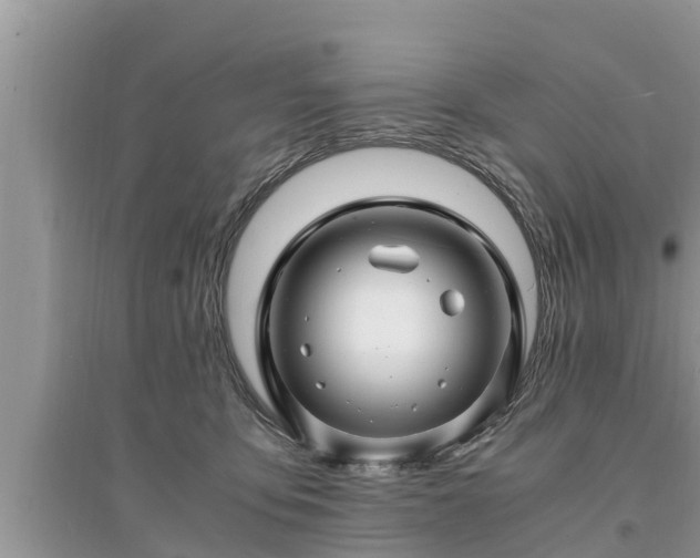 X0000095540419200712211352