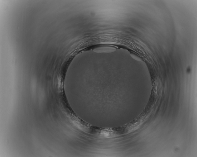 X0000095540420200712211352