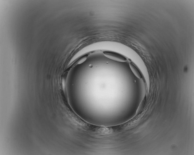 X0000095540421200712211352