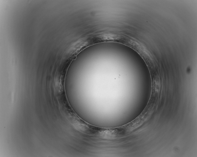 X0000095540422200712211352