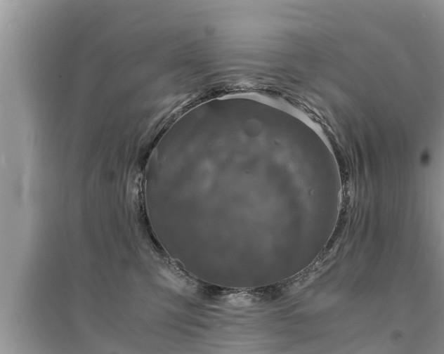 X0000095540423200712211352