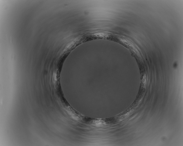 X0000095540424200712211352