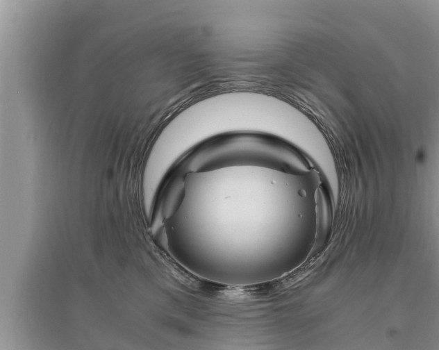 X0000095540425200712211352