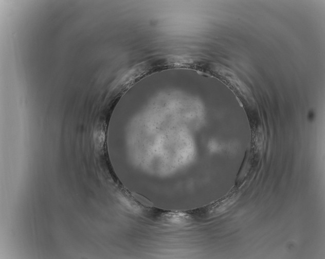 X0000095540427200712211352