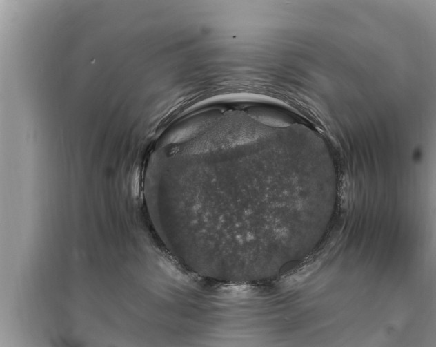 X0000095540428200712211352