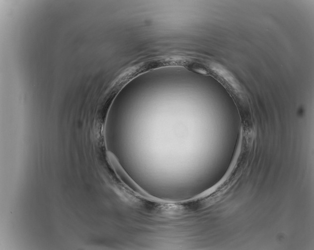 X0000095540429200712211352