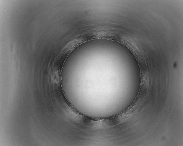 X0000095540430200712211352