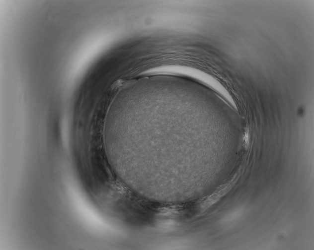 X0000095540431200712211352