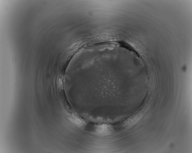 X0000095540432200712211352