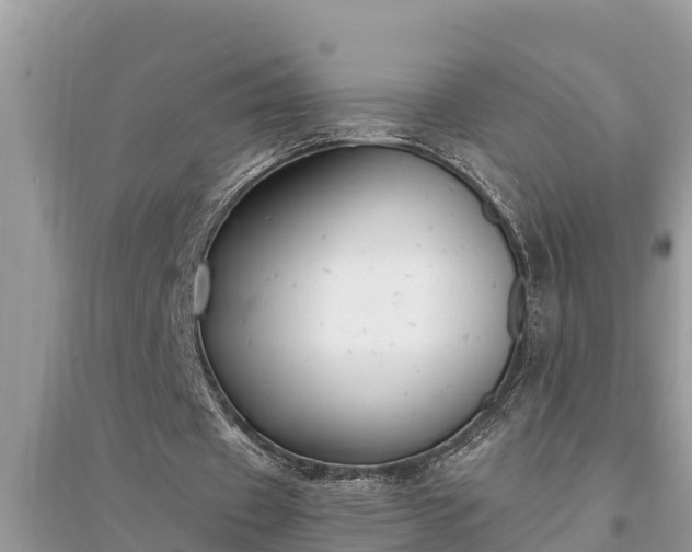 X0000095540433200712211351