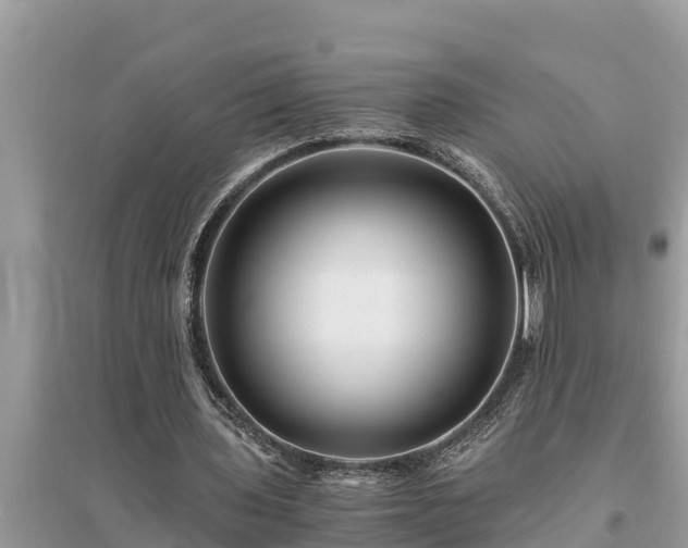 X0000095540435200712211351