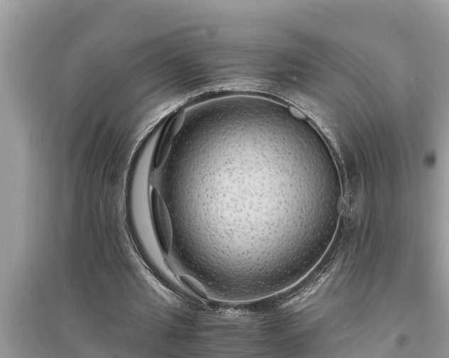 X0000095540437200712211351