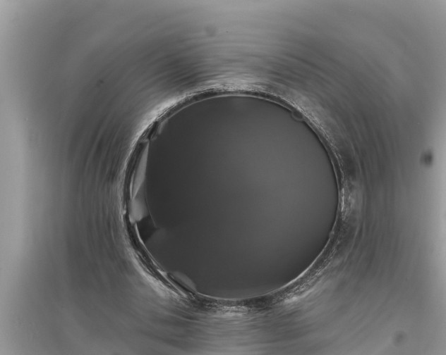 X0000095540438200712211351