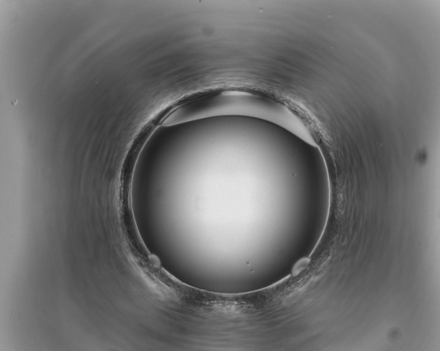 X0000095540439200712211351