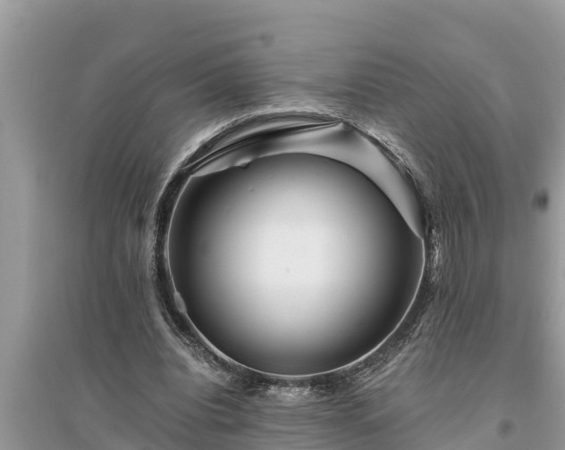 X0000095540440200712211351