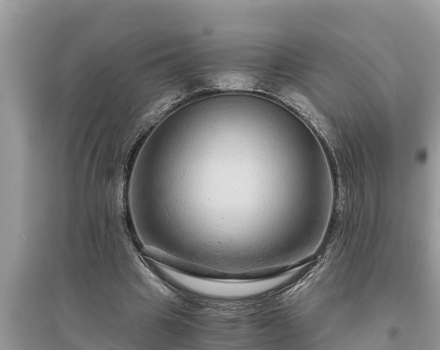 X0000095540441200712211351