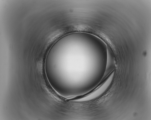 X0000095540442200712211351