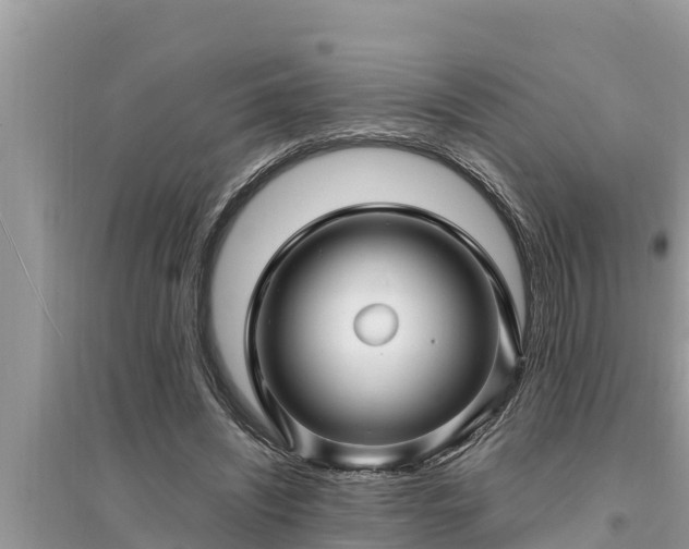 X0000095540444200712211351