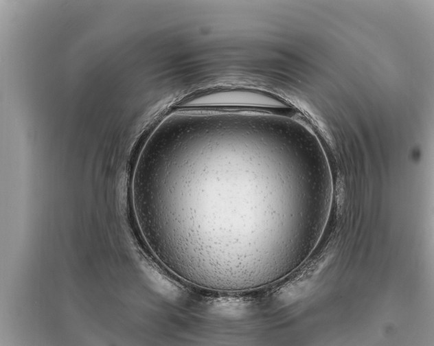 X0000095540445200712211351