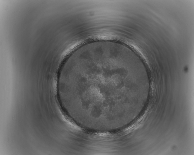 X0000095540446200712211351