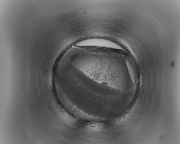 X0000095540447200712211351