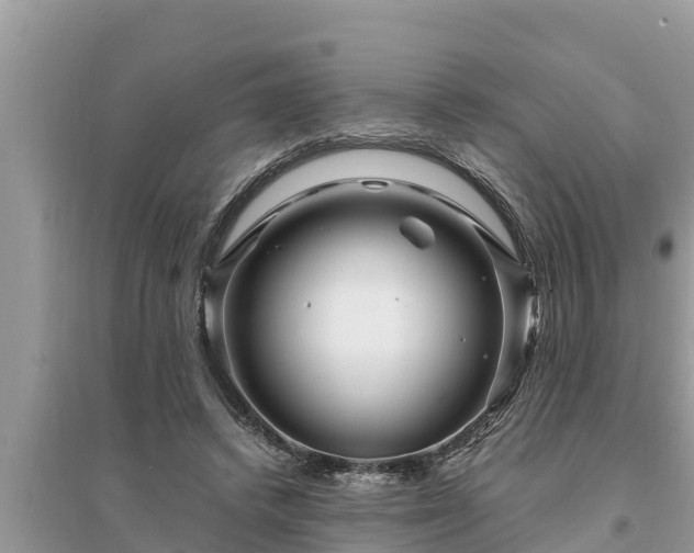 X0000095540448200712211351