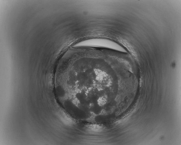 X0000095540449200712211351