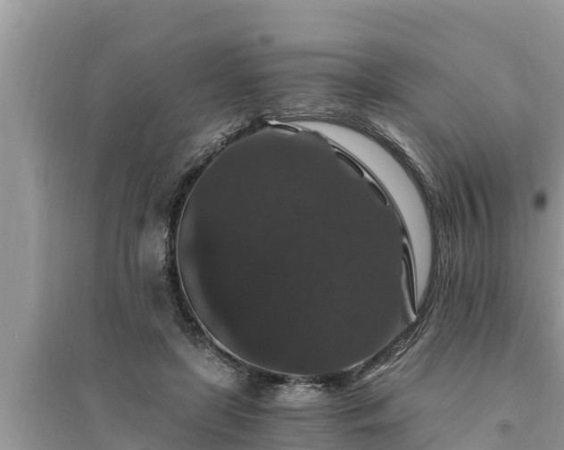 X0000095540451200712211351