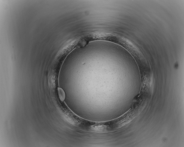 X0000095540452200712211351