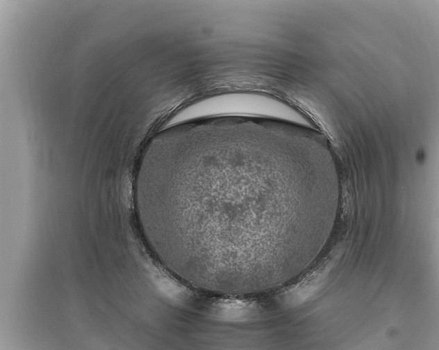 X0000095540453200712211351