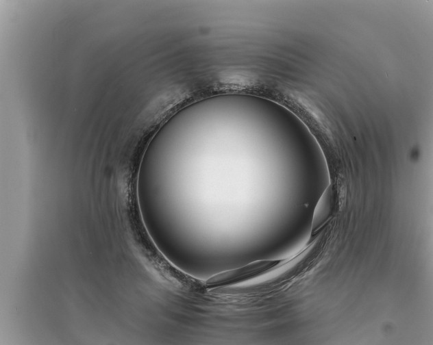 X0000095540455200712211351