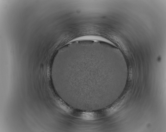 X0000095540457200712211351