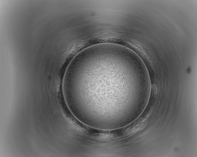 X0000095540458200712211351