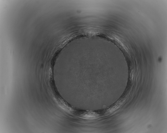 X0000095540459200712211351