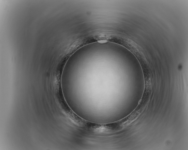 X0000095540460200712211351