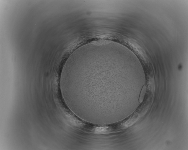 X0000095540461200712211351