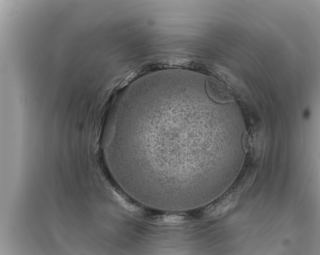 X0000095540462200712211351