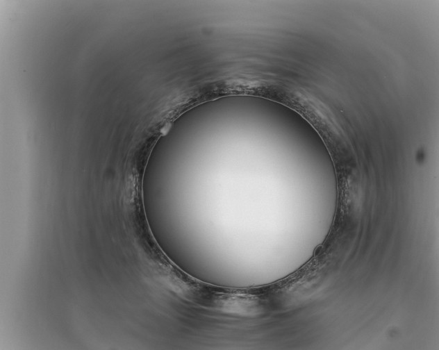 X0000095540463200712211351