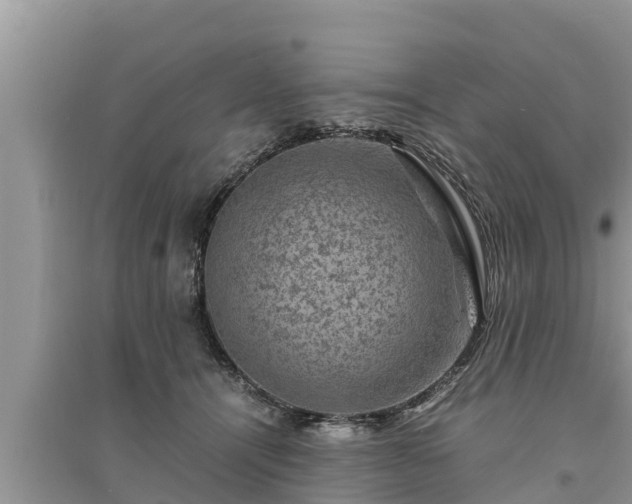 X0000095540464200712211351