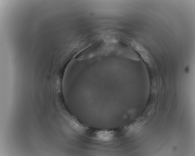 X0000095540465200712211351