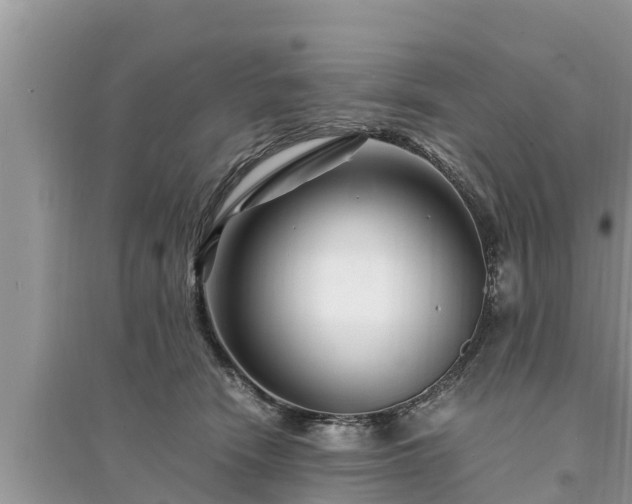 X0000095540466200712211351