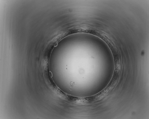 X0000095540468200712211351