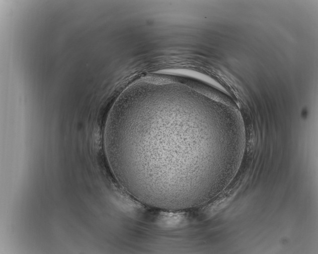 X0000095540469200712211351