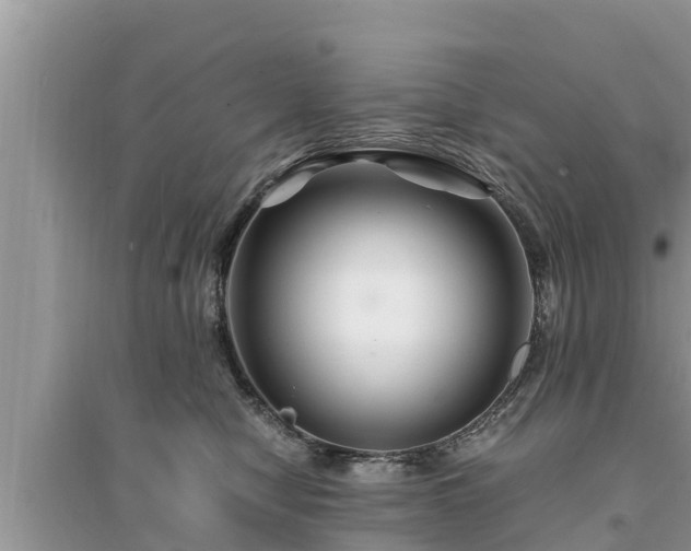 X0000095540470200712211351