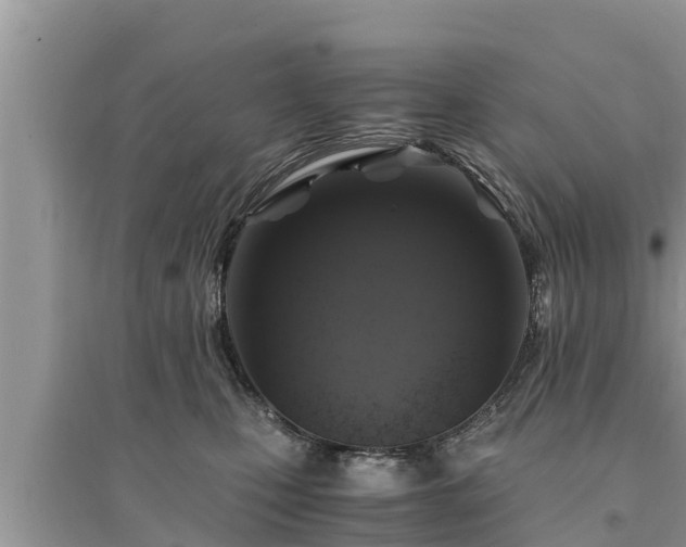 X0000095540471200712211352